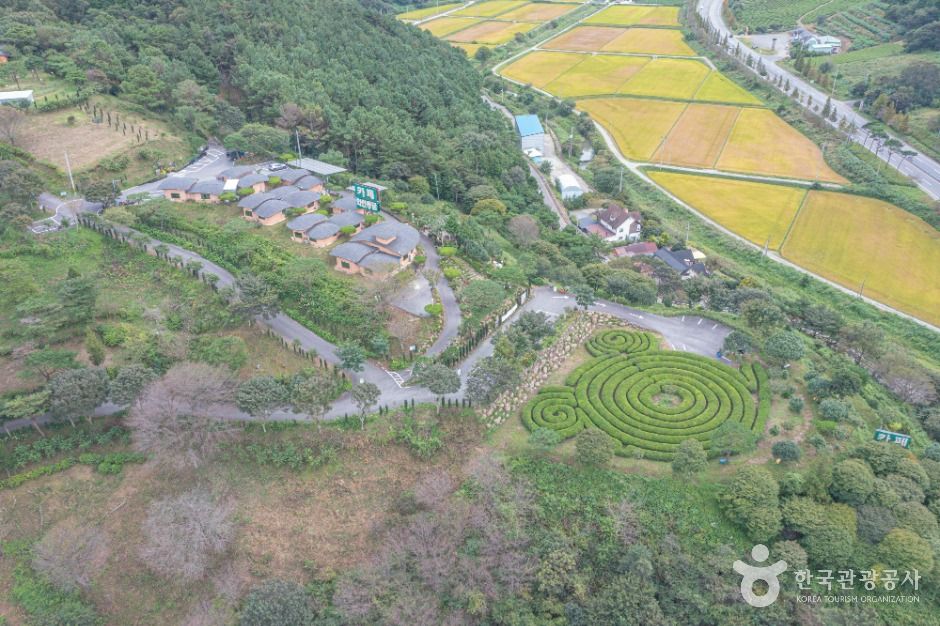 보성 골망태다원