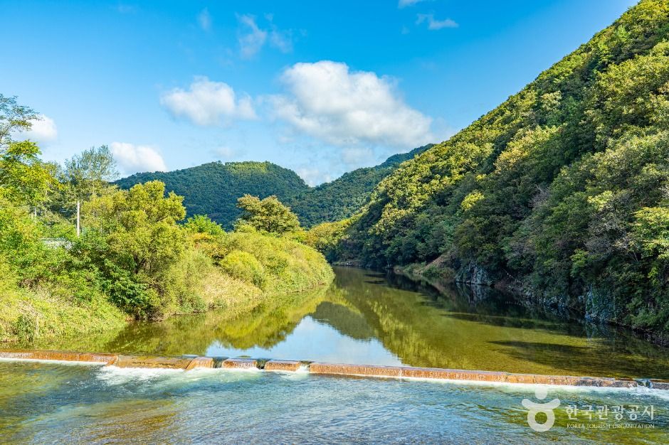 thumbnail-수입천-10