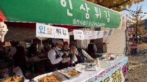 홍천 인삼한우 명품축제