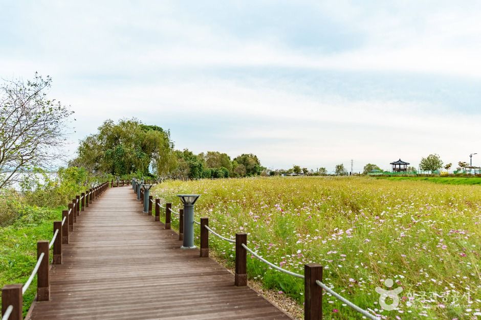 thumbnail-삽교호호수공원-8