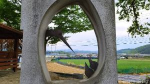 세종_금남 백로 서식지 (1)