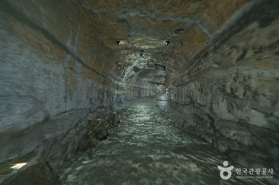 천연기념물센터