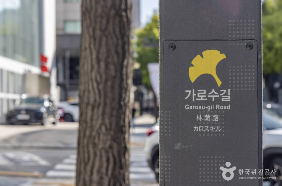 신사동 가로수길