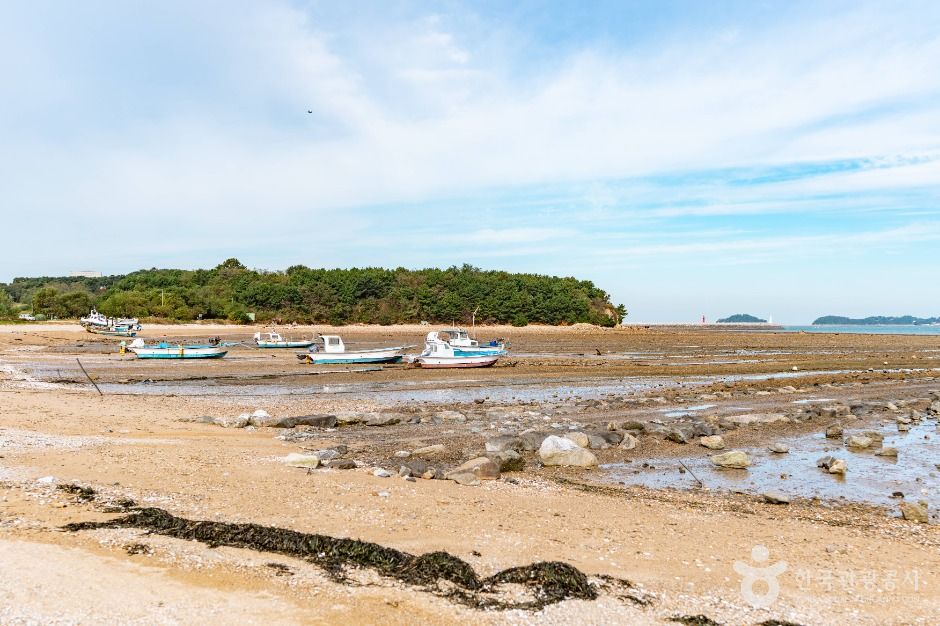 thumbnail-마섬포구-2