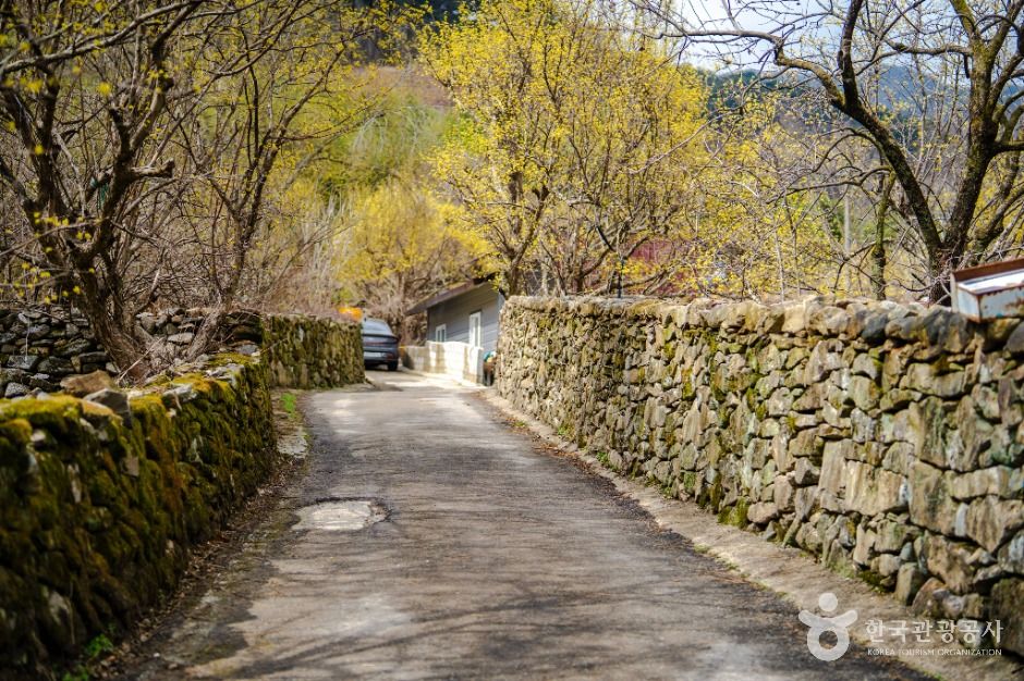 thumbnail-현천마을-2