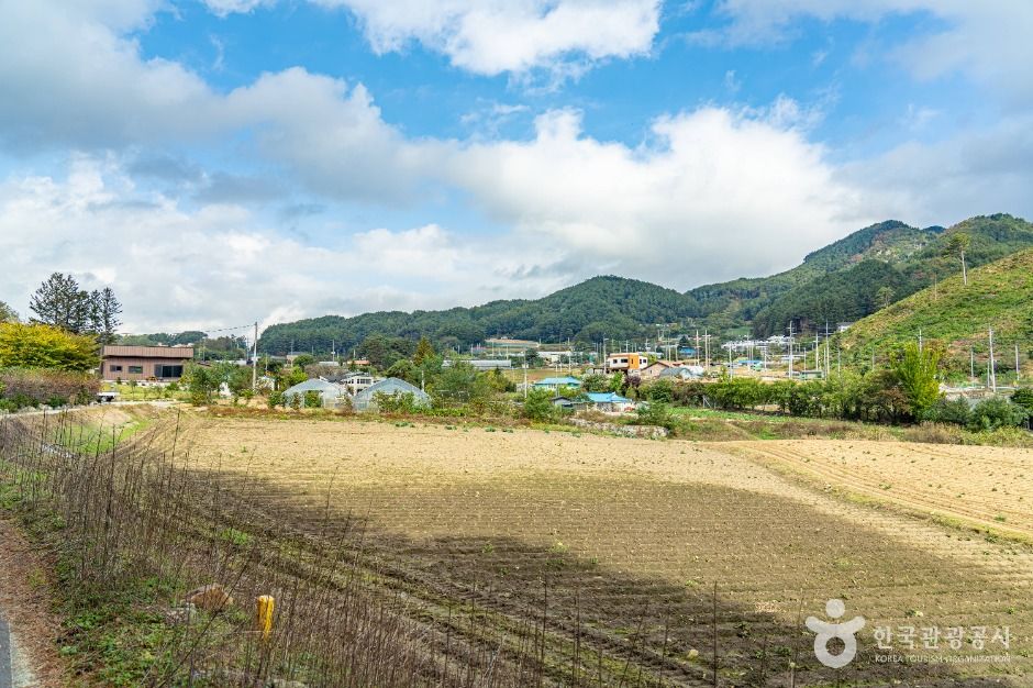 평창_대화장터 가는 길 (6)