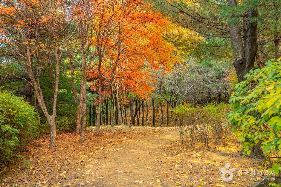 부천_부천문화둘레길-도시숲길 (4)