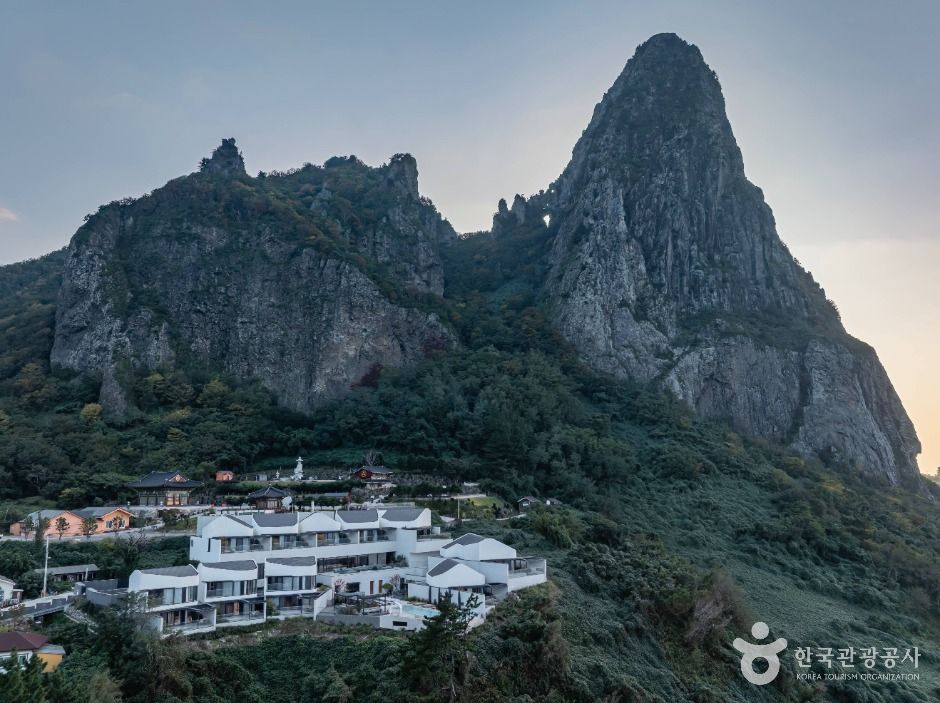 울릉_코스모스 울릉도 (13)