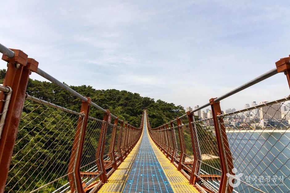 대왕암공원 출렁다리