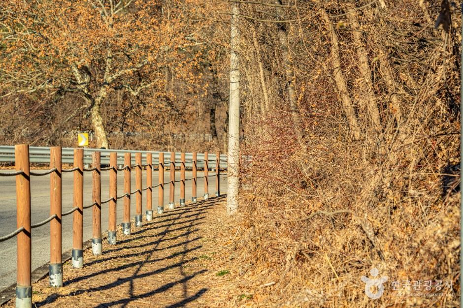 [속리산둘레길] 보은길