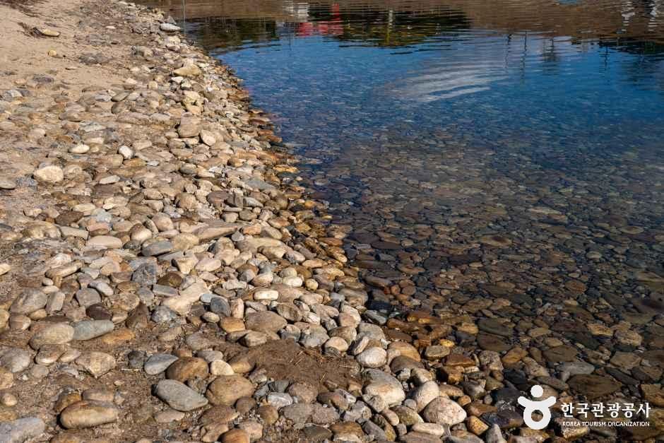 thumbnail-영월 청령포-14