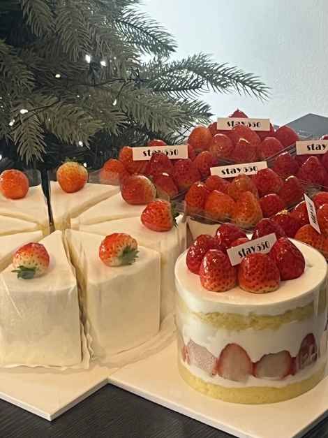 thumbnail-스테이550-4