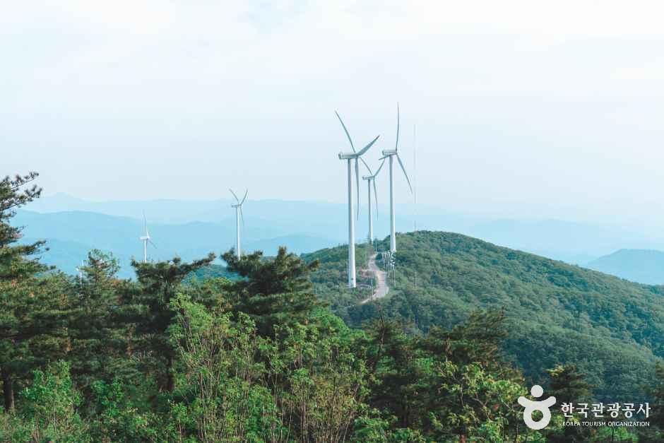 thumbnail-태기산-6