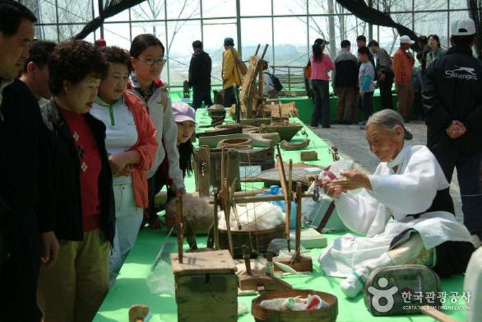 Gochang Green Barley Field Festival (고창 청보리밭축제)
