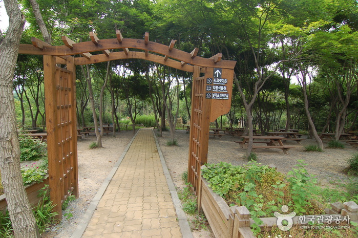 Hantaek Botanical Garden (한택식물원)