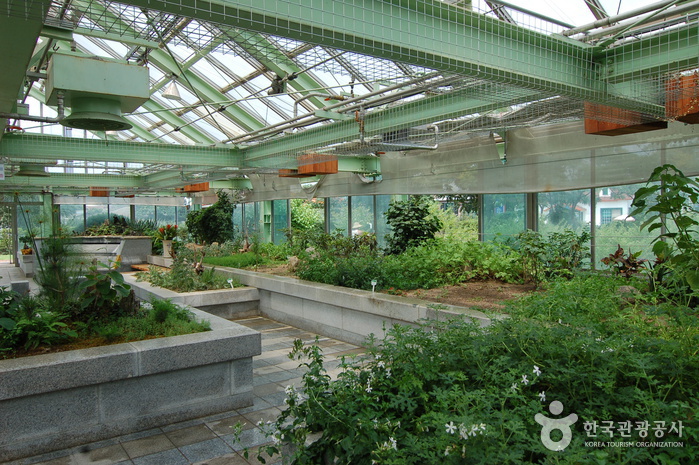 Gangwon-do Provincial Flower Garden (강원도립화목원)