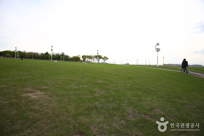 大邱頭流公園(대구두류공원)