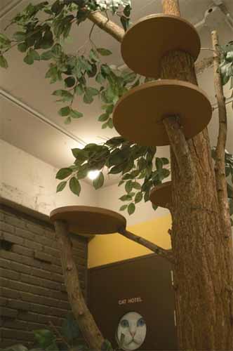 Café Gio Cat (지오캣)
