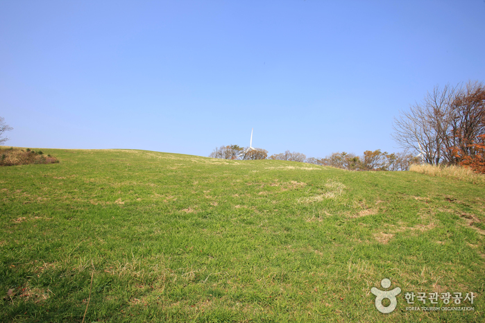 Eco Green Campus [Daegwallyeong Samyang Ranch] (에코그린 캠퍼스, 구 대관령 삼양목장)