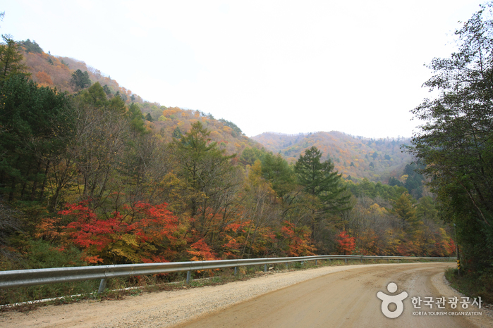 오대산국립공원 사진6