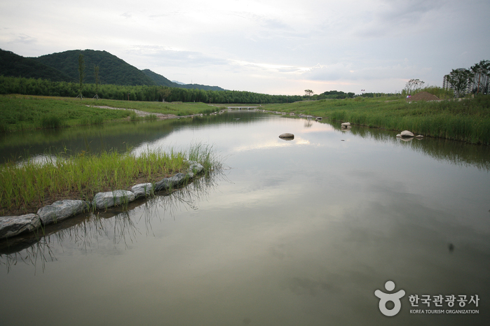 Fluss Taehwagang (태화강)