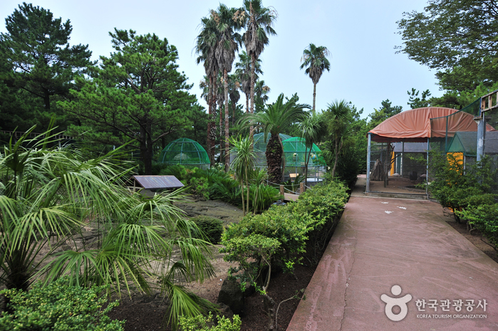 Hallim Park (한림공원)