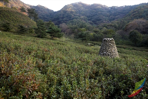 Bonghwasan Mountain (Jangsu-gun) (봉화산 - 장수군)