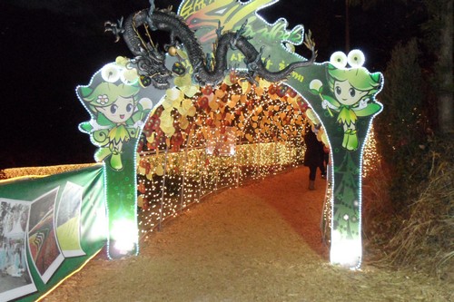Boseong Green Tea Plantation Light Festival (보성차밭 빛축제)