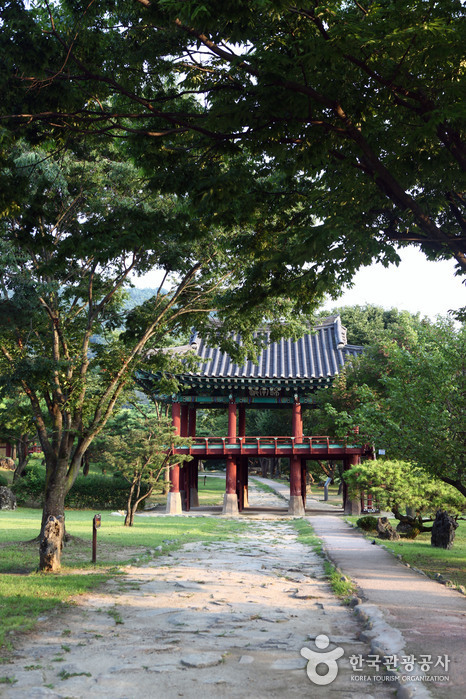 청풍초등학교 이미지