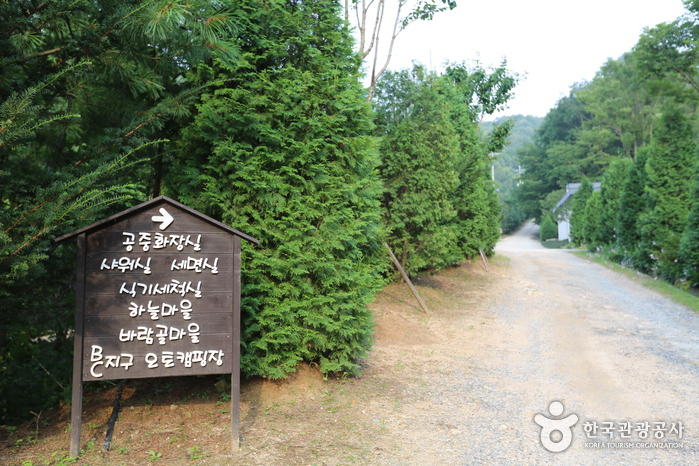 Hoengseong Natural Recreation Forest (횡성자연휴양림)