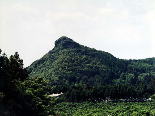 오름 이미지