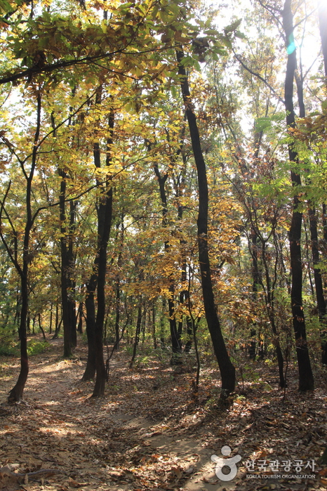 Mont Dobongsan (도봉산)