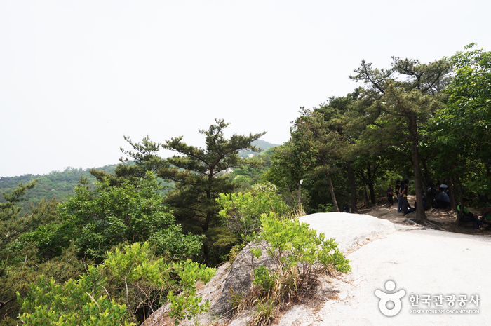 수락산 사진8
