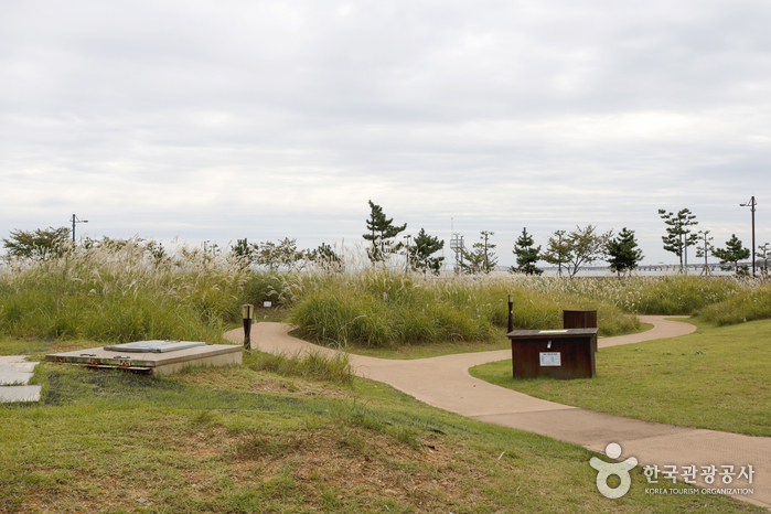 씨사이드파크해수족욕장0