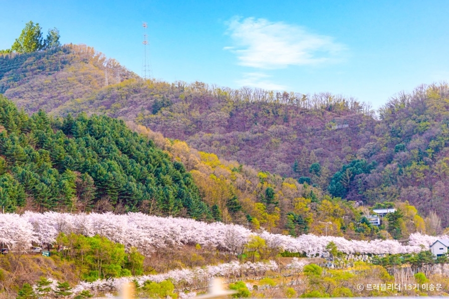 북한강로벚꽃길
