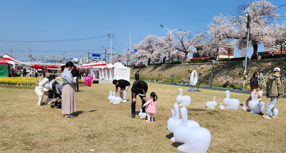 정읍 벚꽃축제