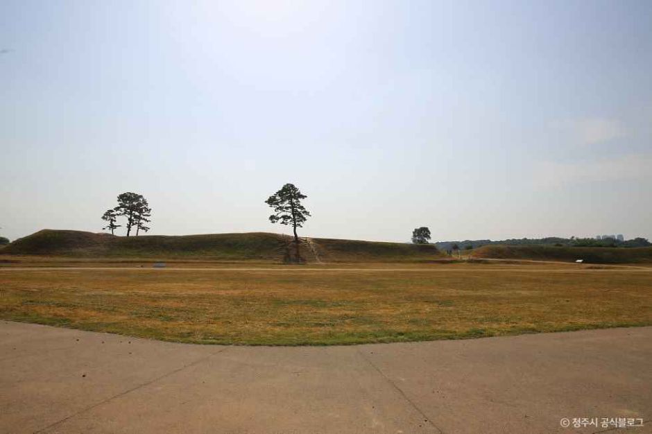 Earthen Fortification in Jeongbuk-dong (청주 정북동 토성)