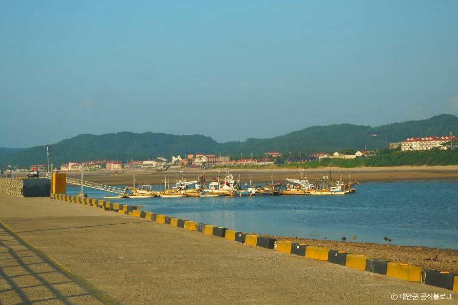 개목항