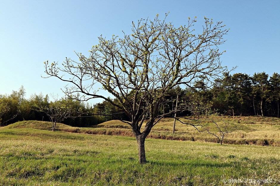 고성 내산리 고분군