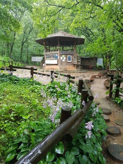 맹산반딧불이자연학교
