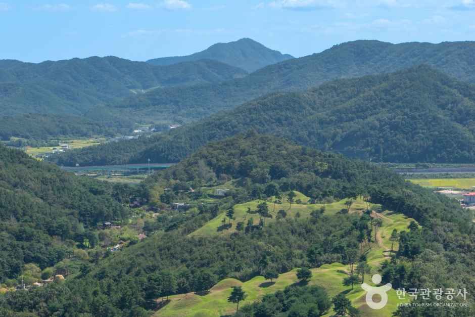 고령 지산동 고분군