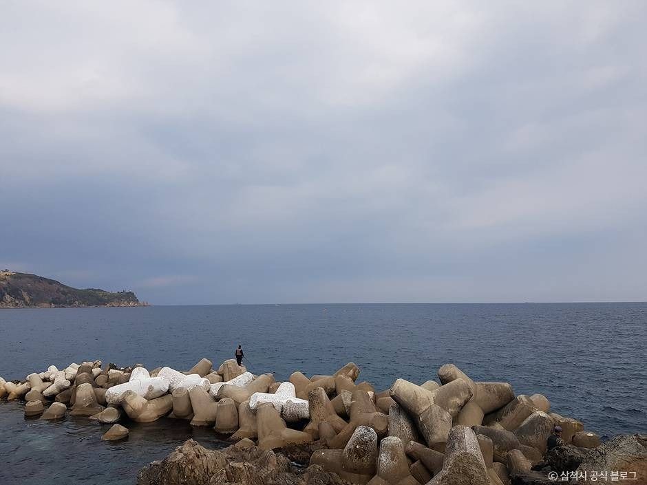 비화항