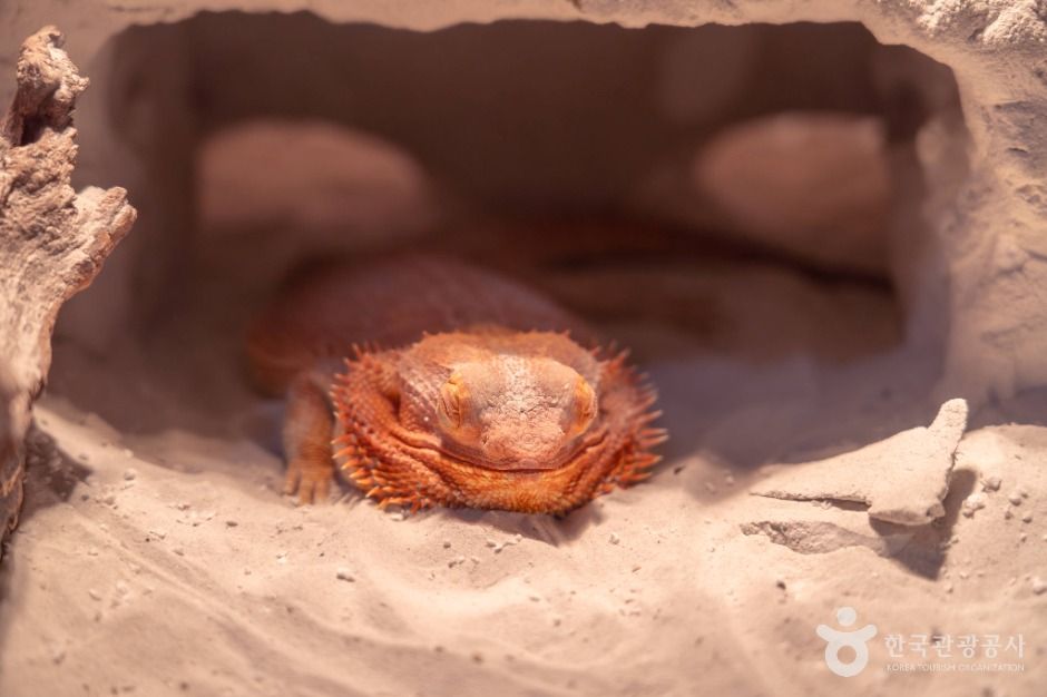 플레이 아쿠아리움 부천