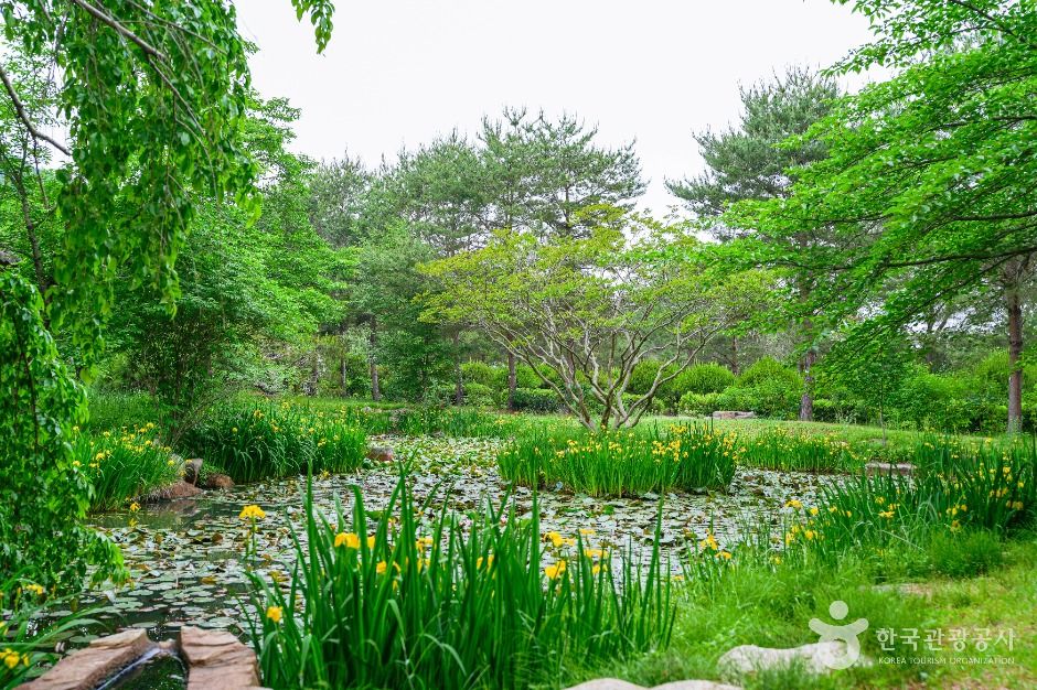 경상북도 산림환경연구원