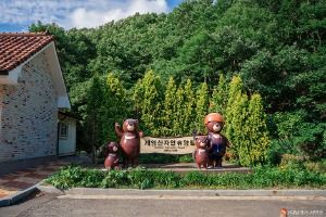 보성 가볼만한곳 보성 여름방학 가족 여행_제암산자연휴양림_1-2