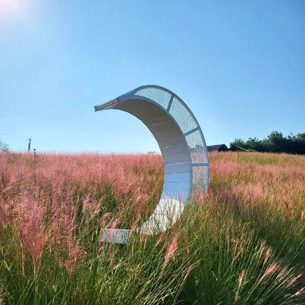 Pink Muhly Zone en la Blue Farm de Gochang (고창청농원 핑크뮬리시즌)