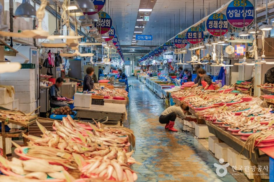 삼천포용궁수산시장