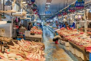 사천_삼천포용궁수산시장 (7)