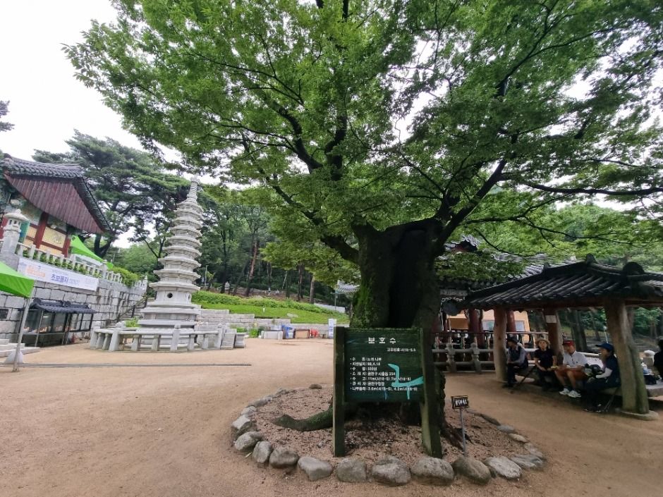 [서울둘레길 12코스] 호암산코스