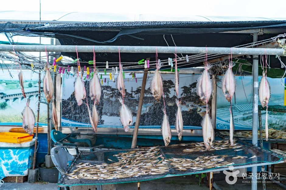 경주_수협 활어직판장 (4)